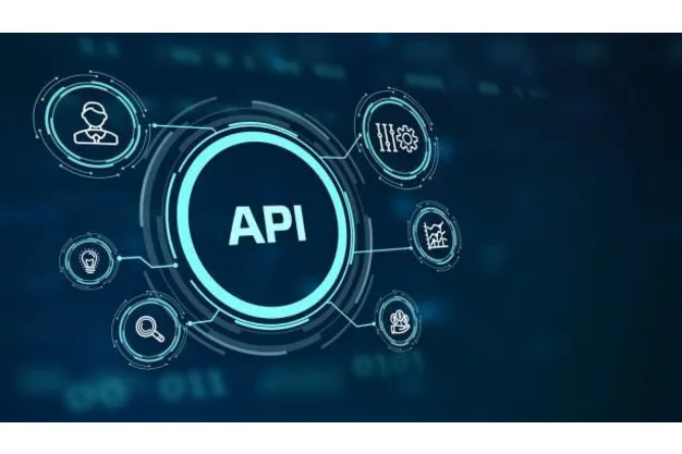 Custom API Development and Third Party System Integrations